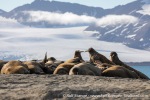 230809b_Sarstangen_33_E