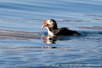 230809c_Kongsfjord_06_E