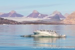 230809c_Kongsfjord_11_E