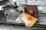 230810d_Virgohamna_094_E