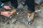 230812a_Sabinebreen_003_E
