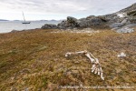 230814a_Nordre-Repoya_011_E