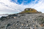 230814b_Karl-XII-oya_008_E