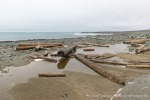 230815d_Ymerhytte_142_D