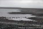 230815c_Norvargodden_50_E