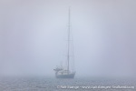 230815c_Norvargodden_72_E