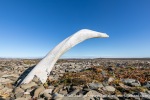 230817a_Von-Otteroya_71_E