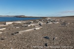 230817c_Smittoya_01_E