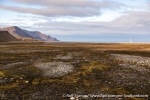 230819b_Haketangen_12_E