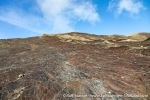 230820a_Grunnvaagen_060_E