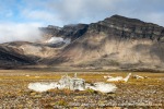 230820a_Grunnvaagen_226_E