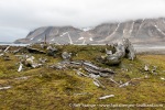 230821f_Gaashamna_070_E