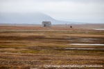 230823a_Erdmannflya_054_E