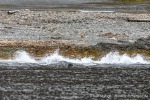 230828b_Fuglehuken_332_D