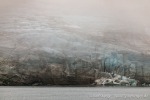 230829c_Holmiabukta_06_D