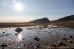 230903a_Phippsoya_065_D