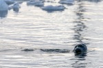 230921b_Midtholmen_005_E
