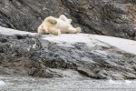 230807a_Nordenskioldbreen_031_E
