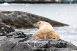 230807a_Nordenskioldbreen_234_E