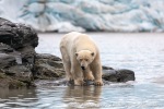 230807a_Nordenskioldbreen_294_E