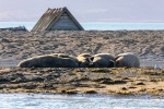 230808d_Poolepynten_003_E