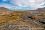 230809a_Selvaagen_032_E