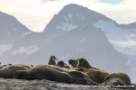 230809b_Sarstangen_23_E