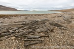230813b_Torskevatnet_16_E