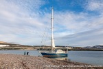 230813g_Reliktbukta_47_E