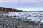 230814b_Karl-XII-oya_024_E