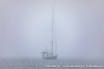 230815c_Norvargodden_72_E