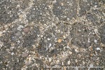 230818b_Binnebukta_050_E