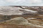 230818b_Binnebukta_068_E