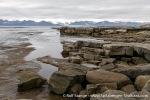 230819a_Kvalvaagen_027_E