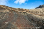 230820a_Grunnvaagen_051_E