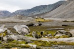 230821f_Gaashamna_024_E