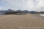230822c_Ahlstrandhalvoya_39_E