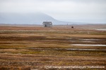 230823a_Erdmannflya_054_E