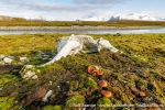 230912a_Dunoyane_69_E