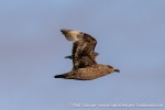 230912a_Dunoyane_77_E