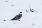 230916a_Von-Otteroya_33_E