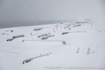 230917b_Smittoya_09_E