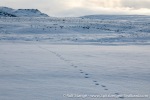 230918a_Snaddvika_125_E