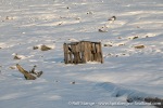 230920a_Danskeneset_006_E