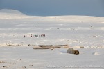 230920a_Danskeneset_027_E