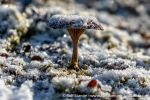 230922a_Eidembukta_099_E