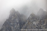 230829b_Fuglefjord_029_E