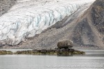 230829b_Fuglefjord_103_E