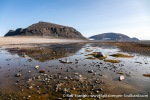 230903a_Phippsoya_069_E