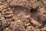 230904a_Worsleyneset_010_E